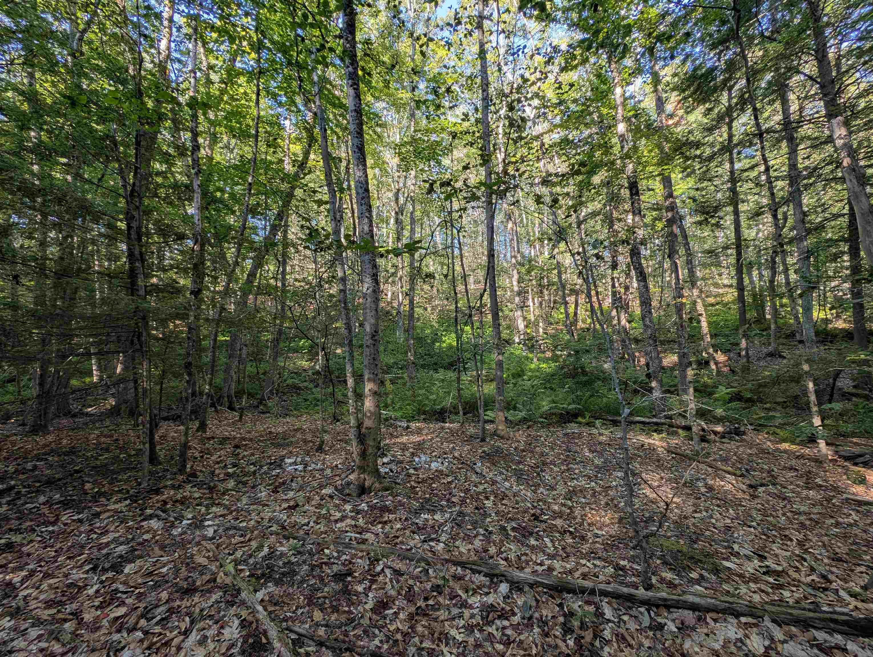 8-043-001 School House Road Francestown, NH 03043 - Photo 4 of 31