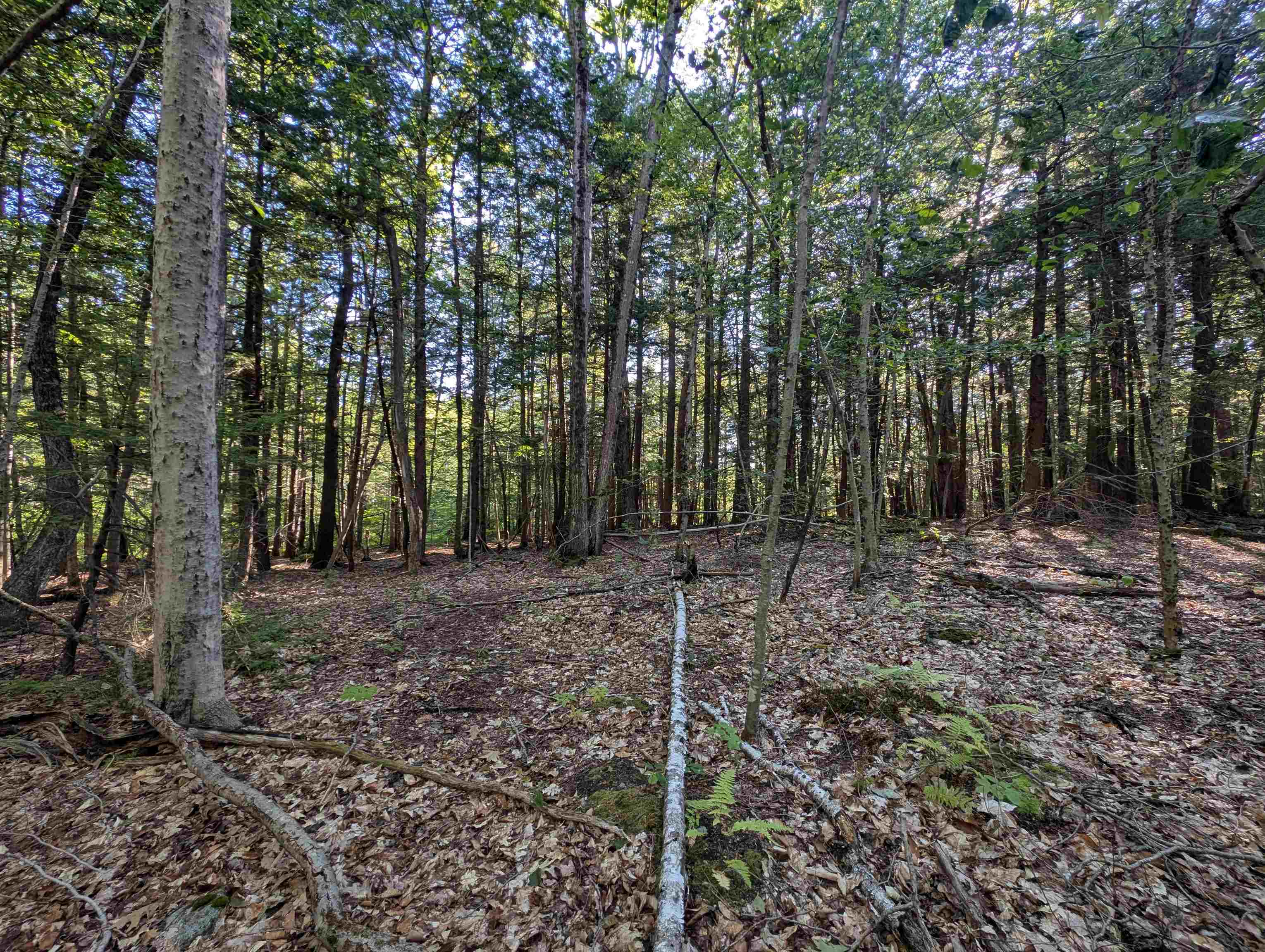 8-043-001 School House Road Francestown, NH 03043 - Photo 5 of 31