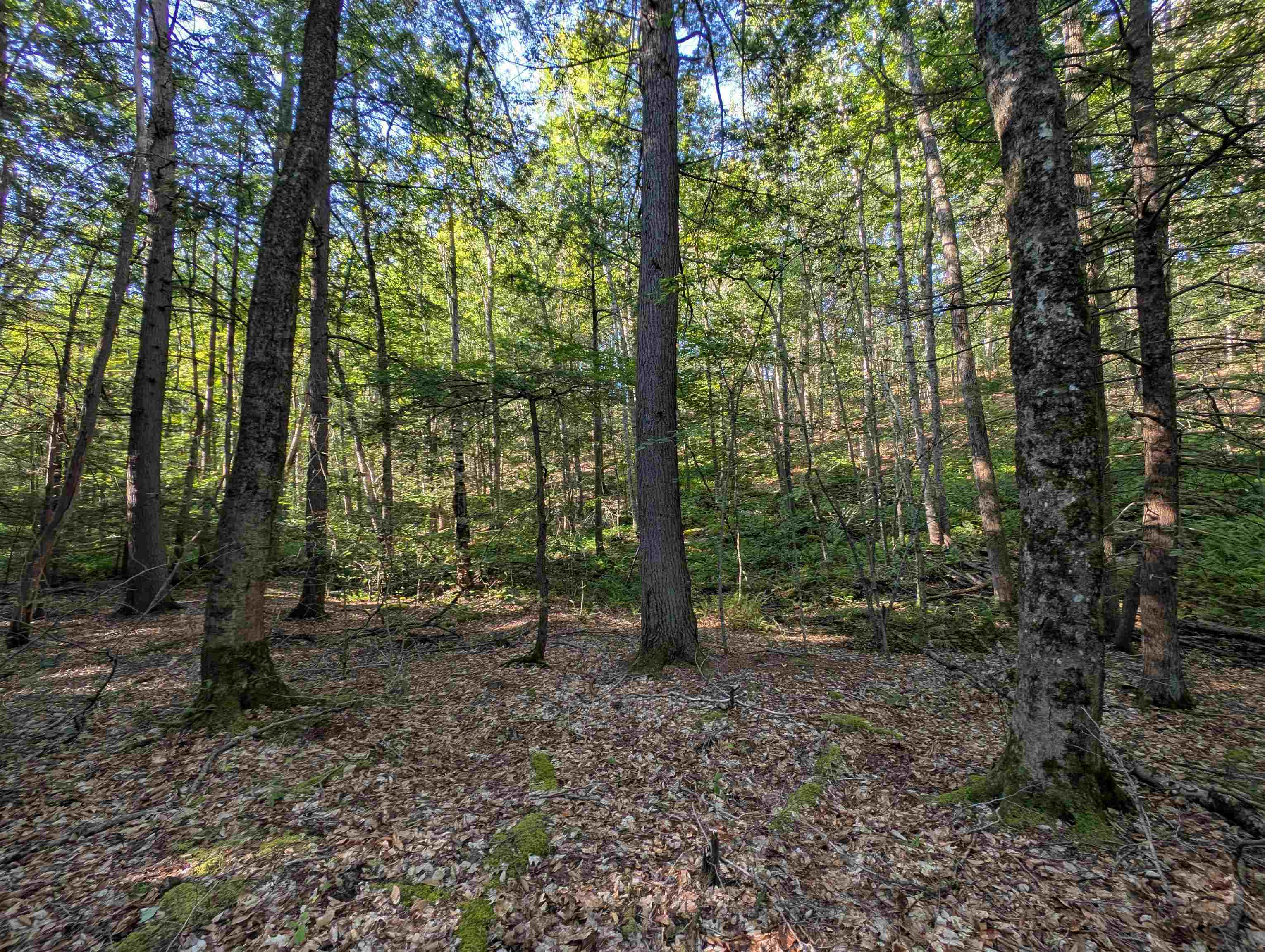 8-043-001 School House Road Francestown, NH 03043 - Photo 6 of 31