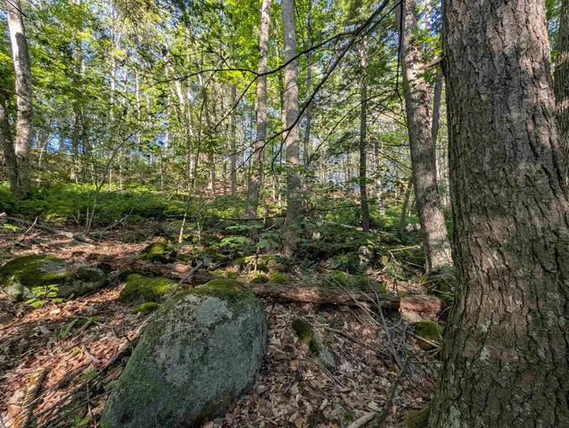 $225,000 | 8-043-001 School House Road, Francestown, NH 03043