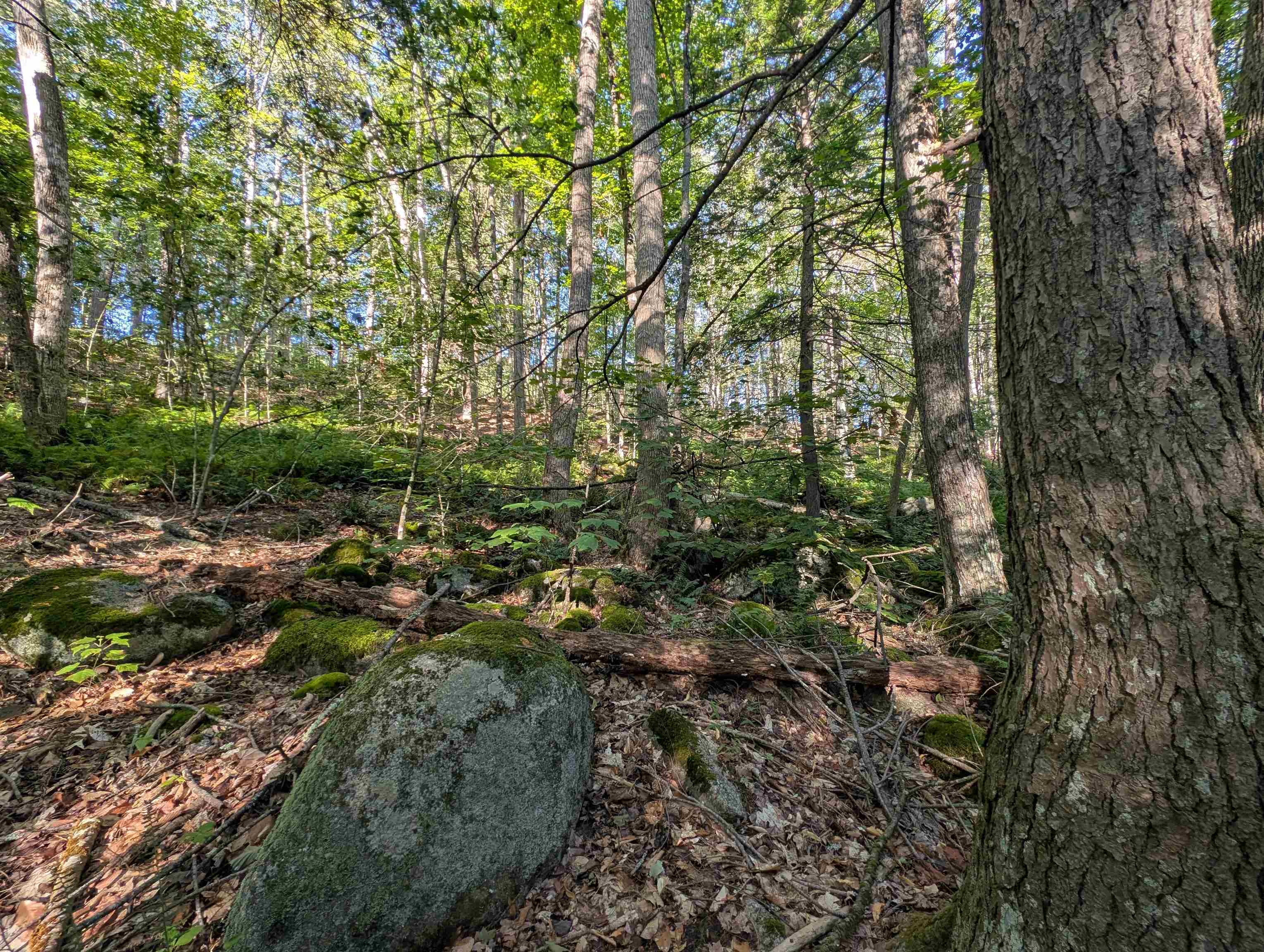 8-043-001 School House Road Francestown, NH 03043 - Photo 7 of 31