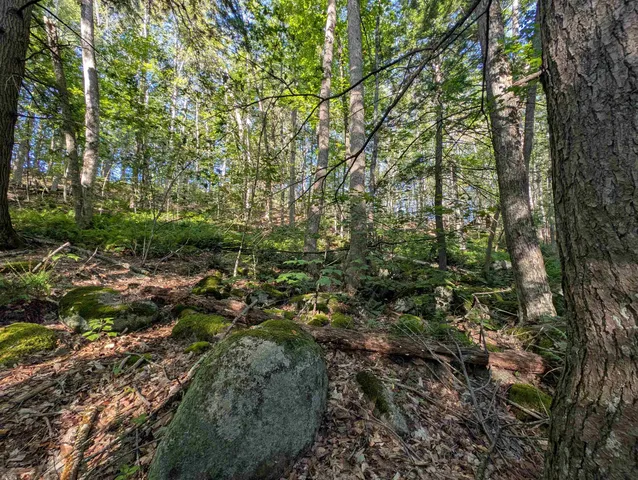 $225,000 | 8-043-001 School House Road, Francestown, NH 03043