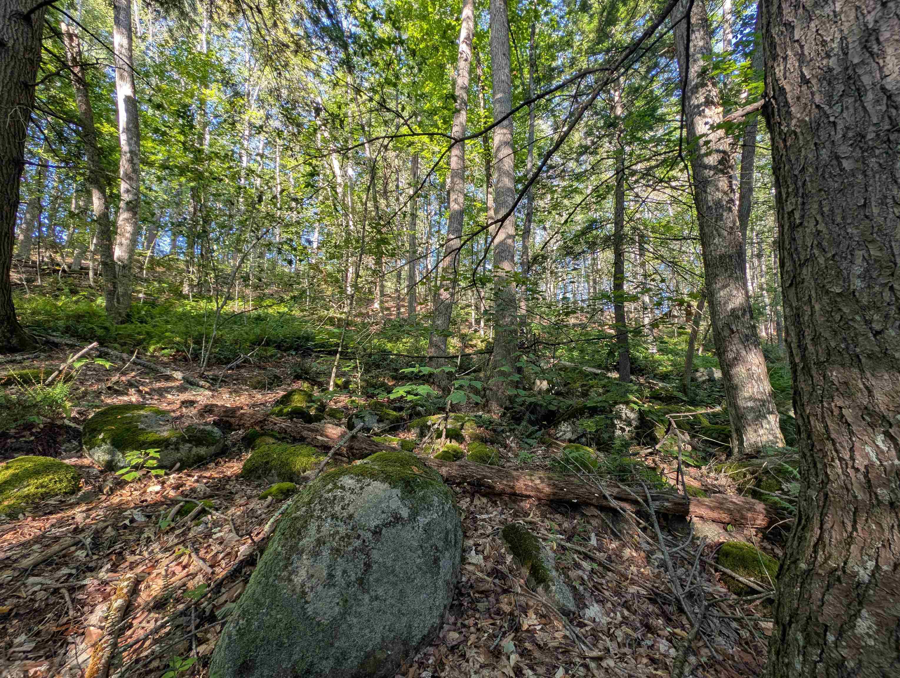 8-043-001 School House Road Francestown, NH 03043 - Photo 8 of 31