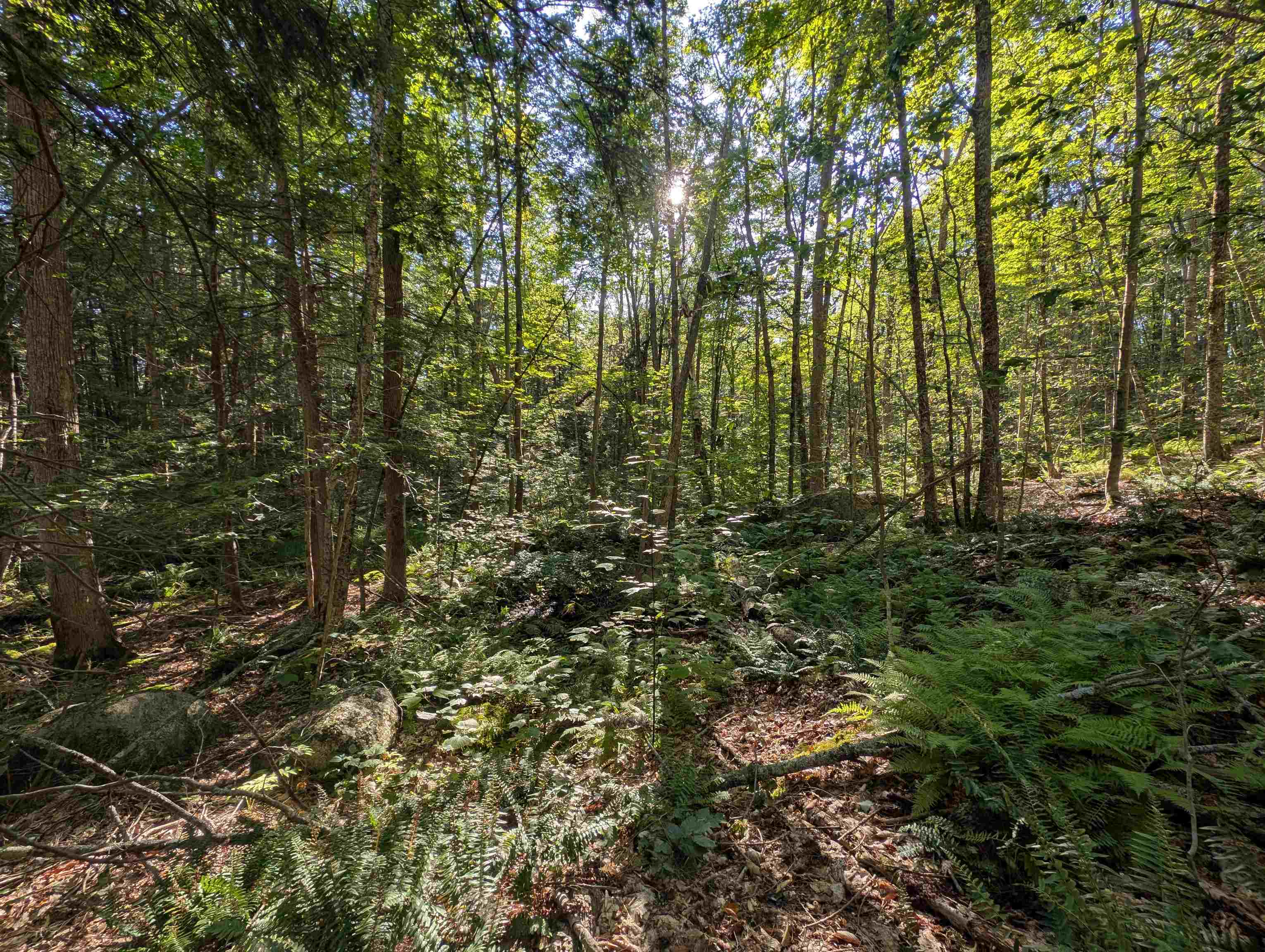 8-043-001 School House Road Francestown, NH 03043 - Photo 9 of 31