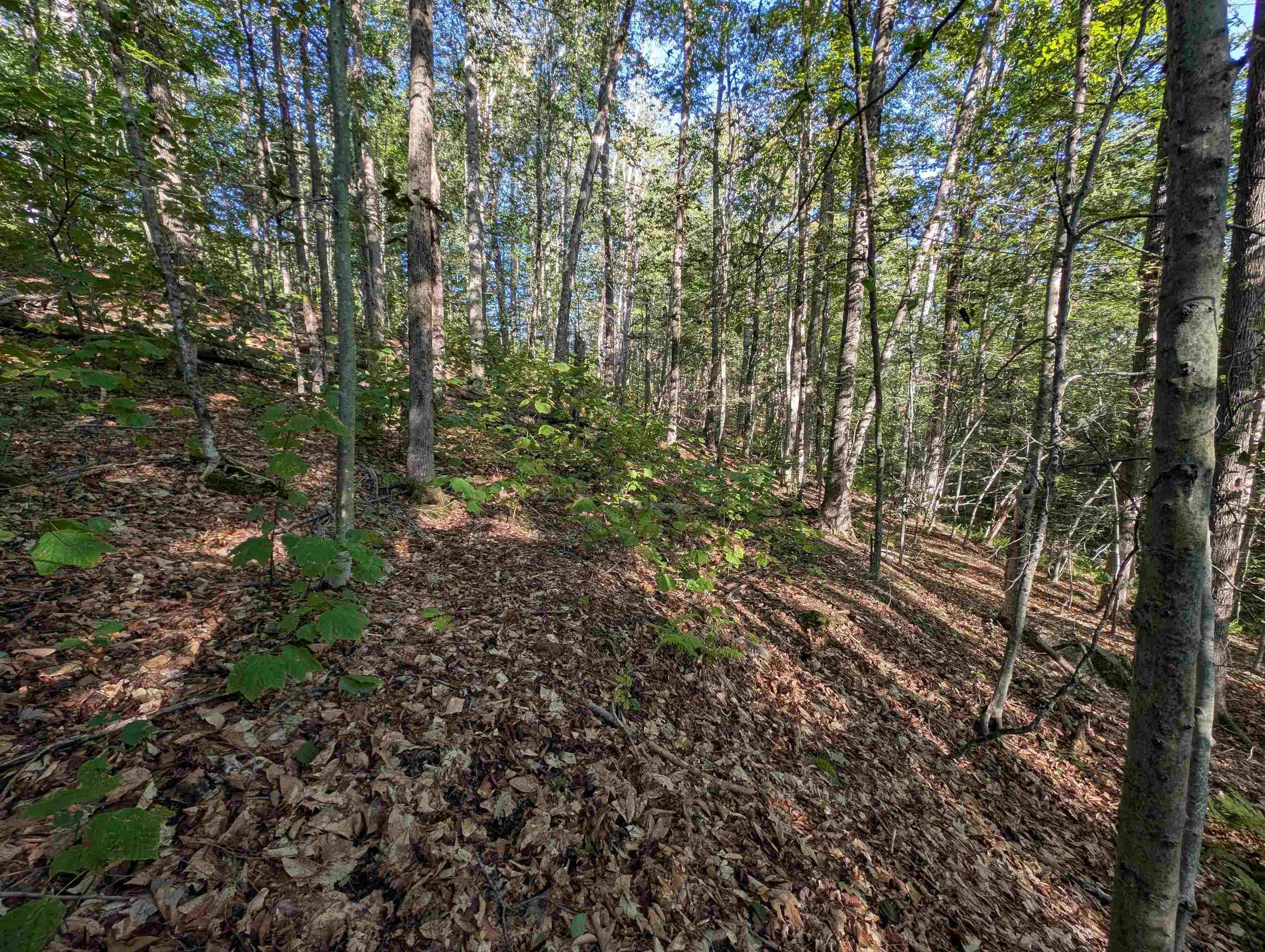 8-043-001 School House Road Francestown, NH 03043 - Photo 10 of 31