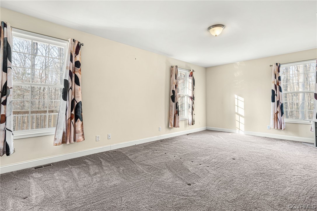 1602 Blakely Road Crozier, VA 23039 - Photo 17 of 44