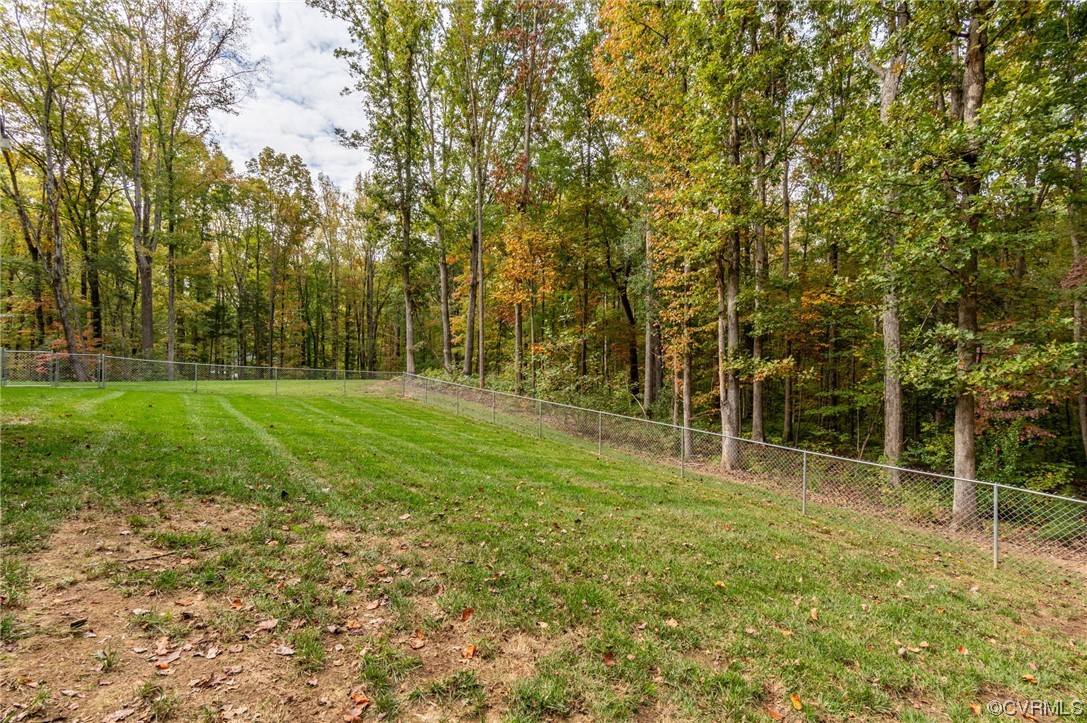 1602 Blakely Road Crozier, VA 23039 - Photo 29 of 44 a view of a field with a tree