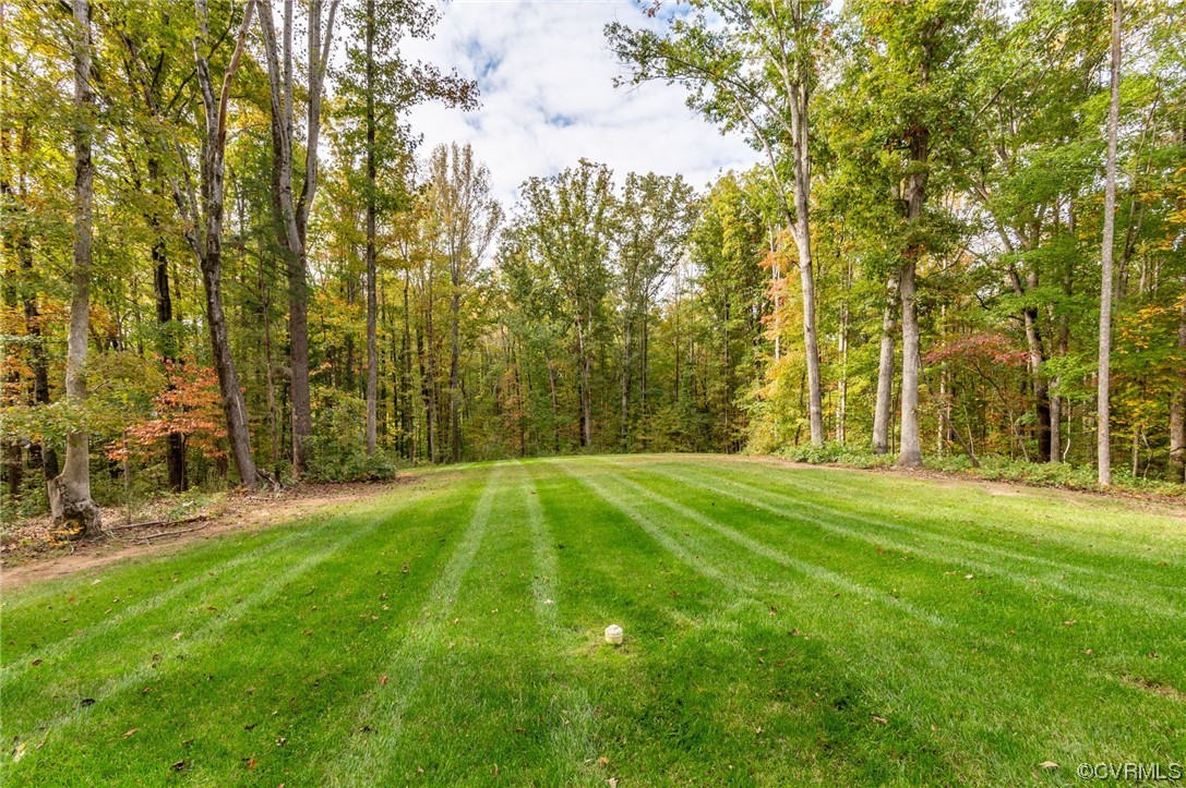 1602 Blakely Road Crozier, VA 23039 - Photo 31 of 44 a swimming pool with trees in the background