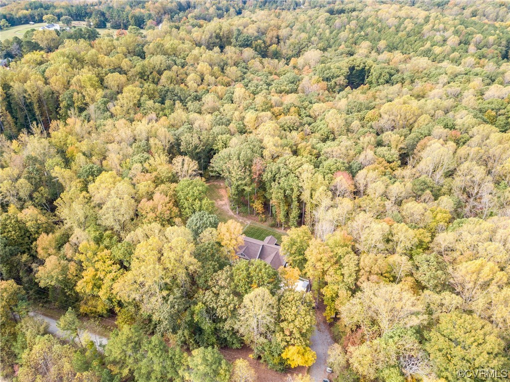 1602 Blakely Road Crozier, VA 23039 - Photo 34 of 44 a view of a yard