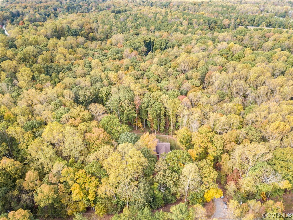 1602 Blakely Road Crozier, VA 23039 - Photo 36 of 44 a view of a yard