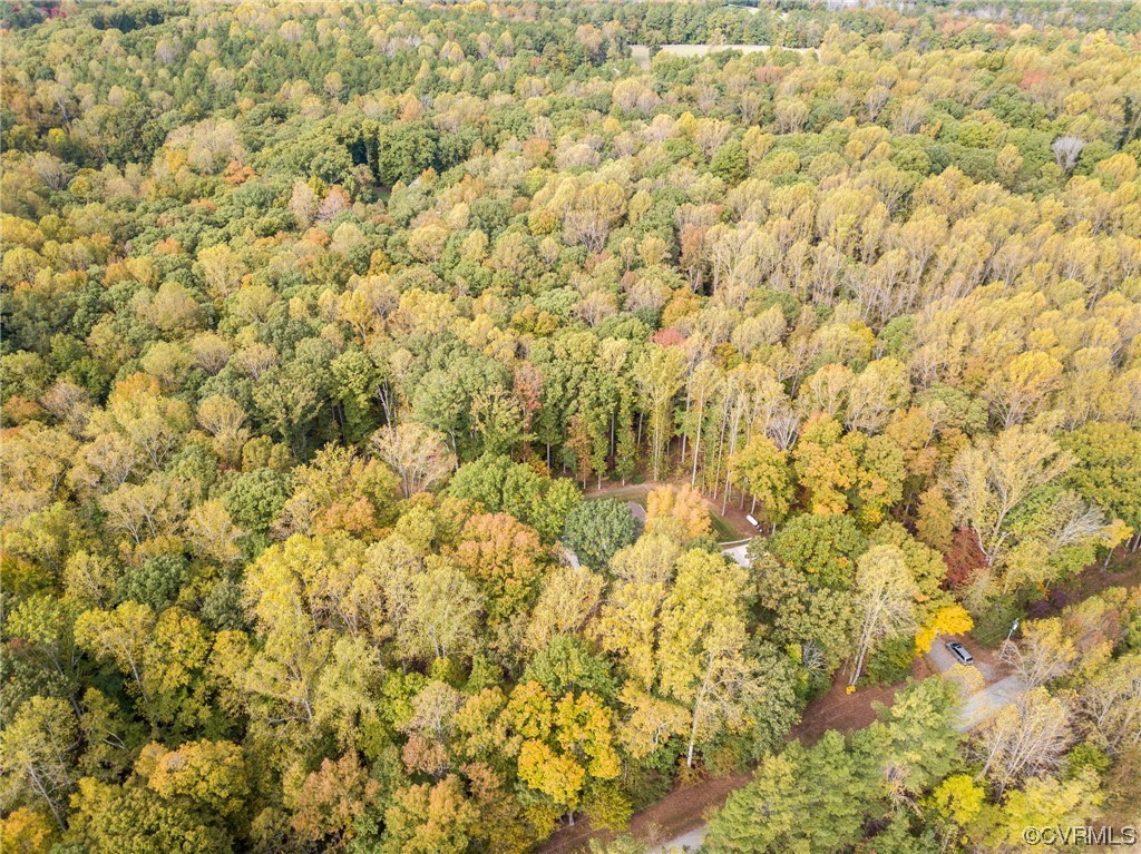 1602 Blakely Road Crozier, VA 23039 - Photo 37 of 44 a view of a yard