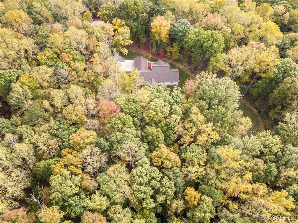 1602 Blakely Road Crozier, VA 23039 - Photo 39 of 44 a picture of a tree