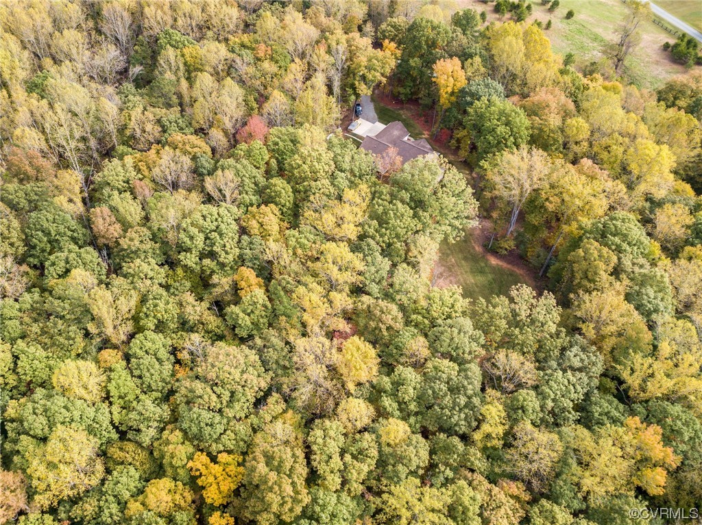 1602 Blakely Road Crozier, VA 23039 - Photo 40 of 44 a close up of a tree