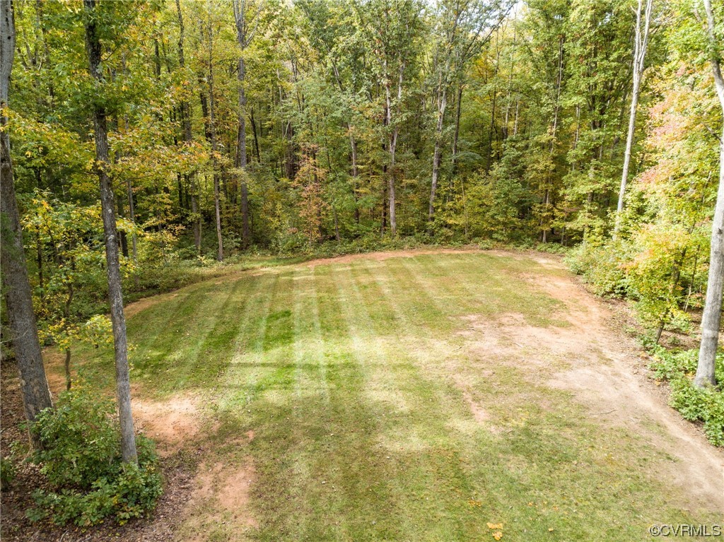 1602 Blakely Road Crozier, VA 23039 - Photo 43 of 44 a view of yard
