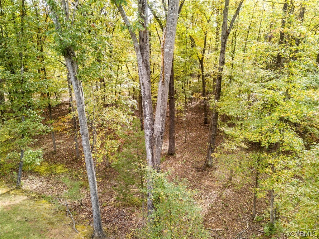 1602 Blakely Road Crozier, VA 23039 - Photo 44 of 44 a bathroom with a shower