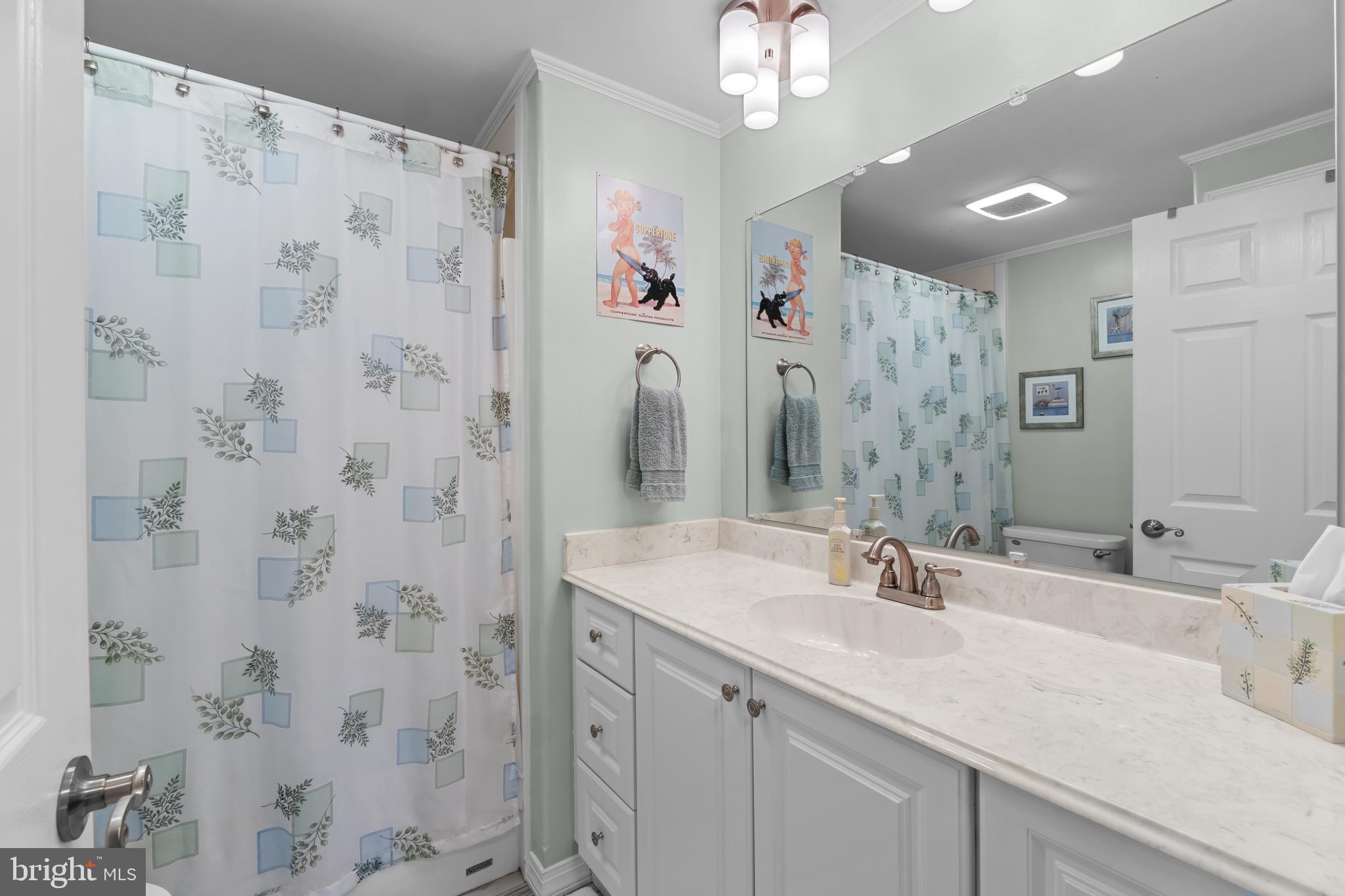 30650 Shell Road Dagsboro, DE 19939 - Photo 52 of 79 Hall Bathroom