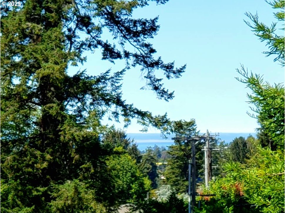 98041 Hallway Road, Unit 23 Brookings, OR 97415 - Photo 9 of 31 Gallery Image 9