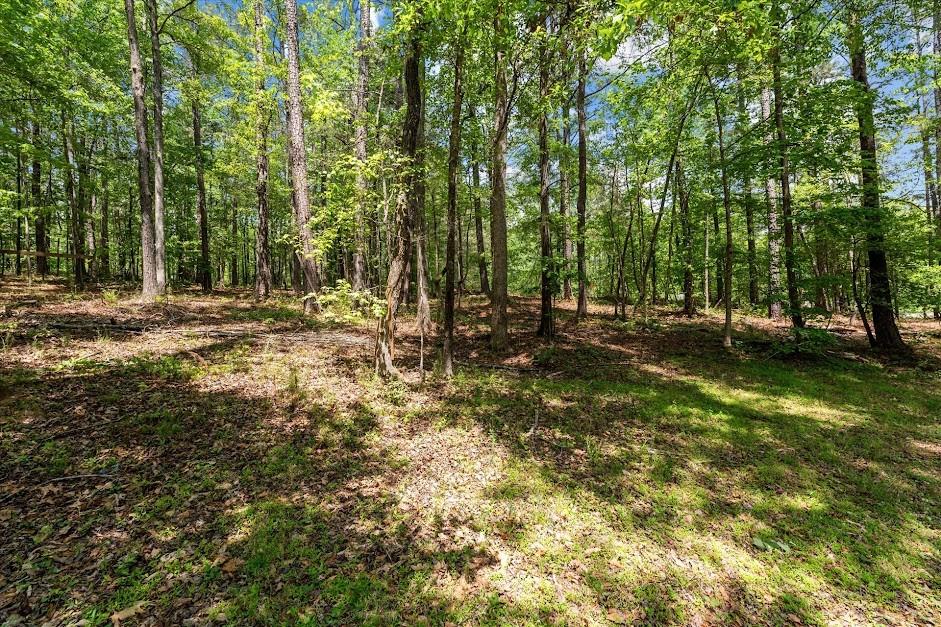 7908 Lambert Road Winston, GA 30187 - Photo 46 of 49