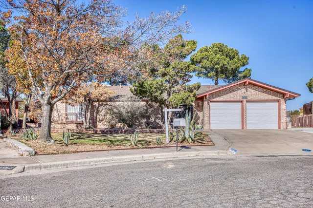 a road view with plants