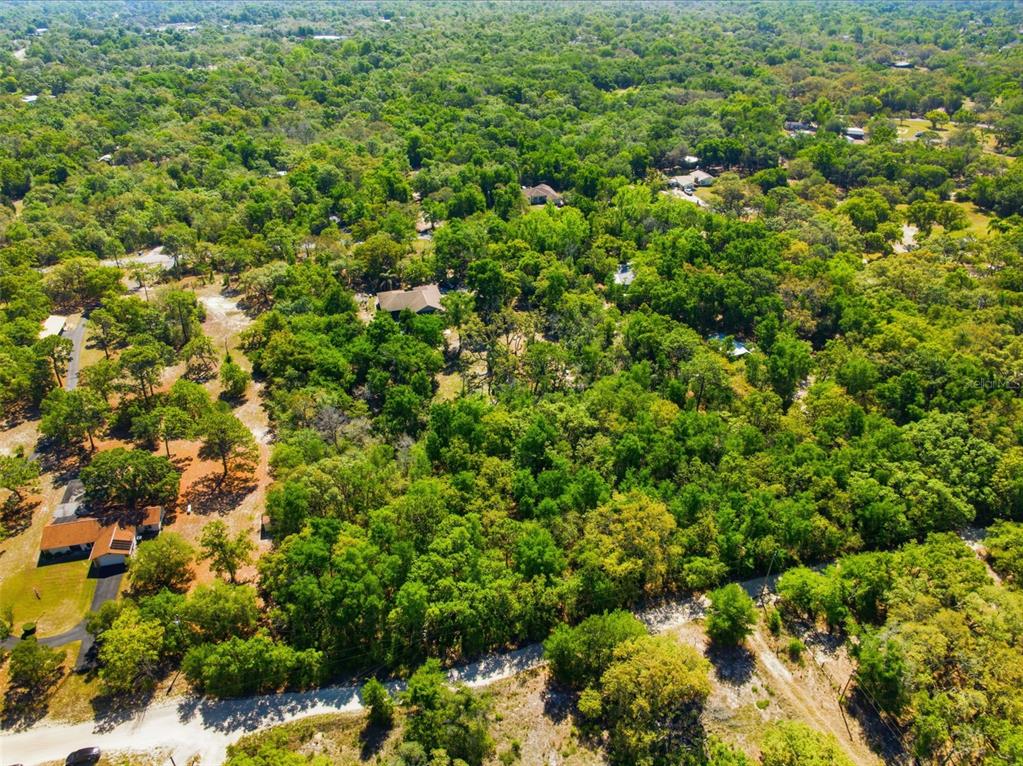 0 Coyote Road Hudson, FL 34669 - Photo 8 of 13