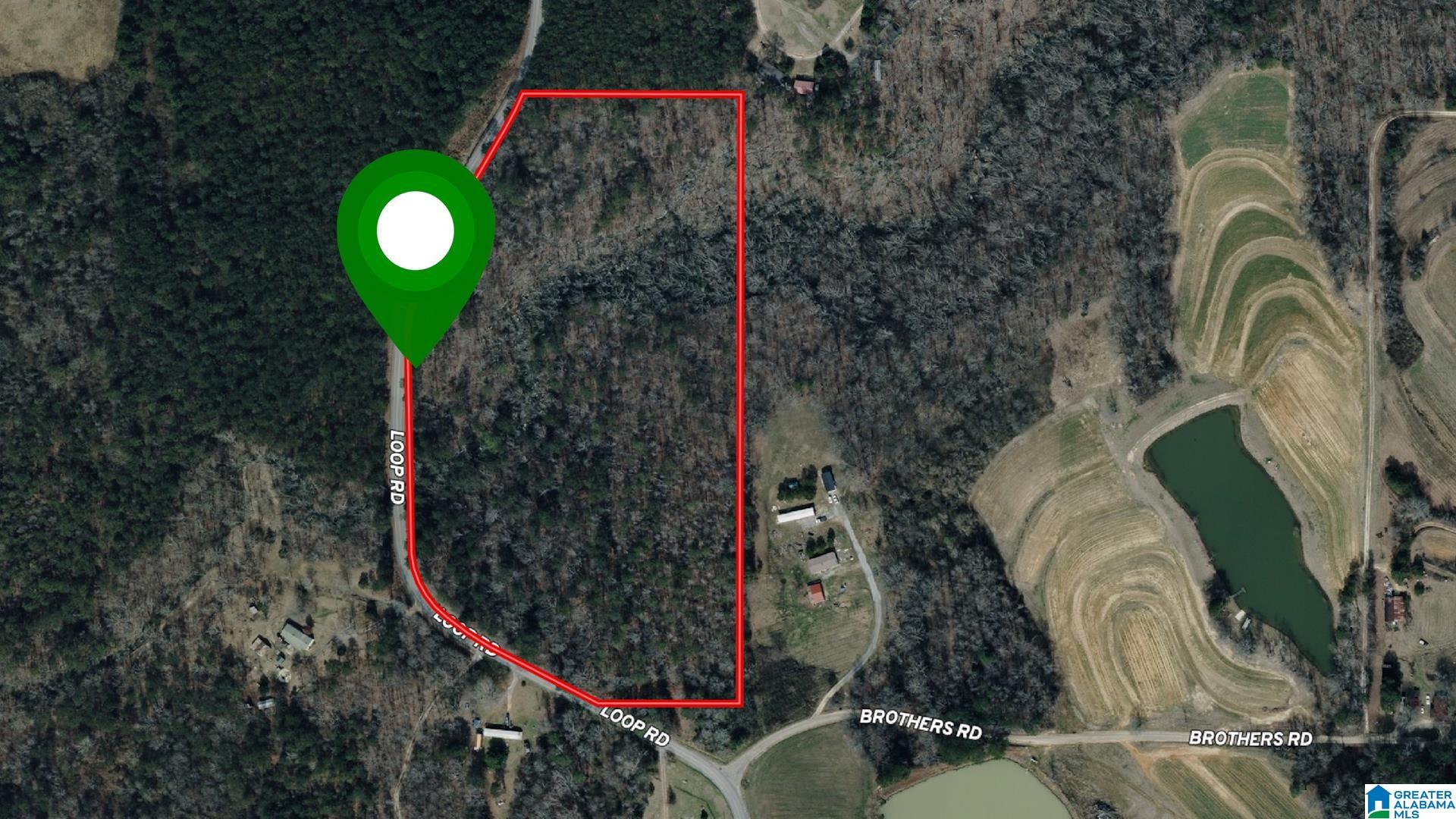 Loop Road, Unit 18 Steele, AL 35987 - Photo 7 of 9