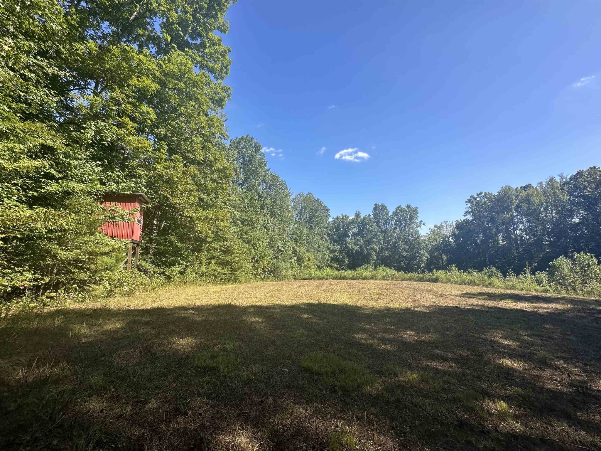 0 Middleburg Road Decaturville, TN 38329 - Photo 11 of 32 a view of a field with an trees