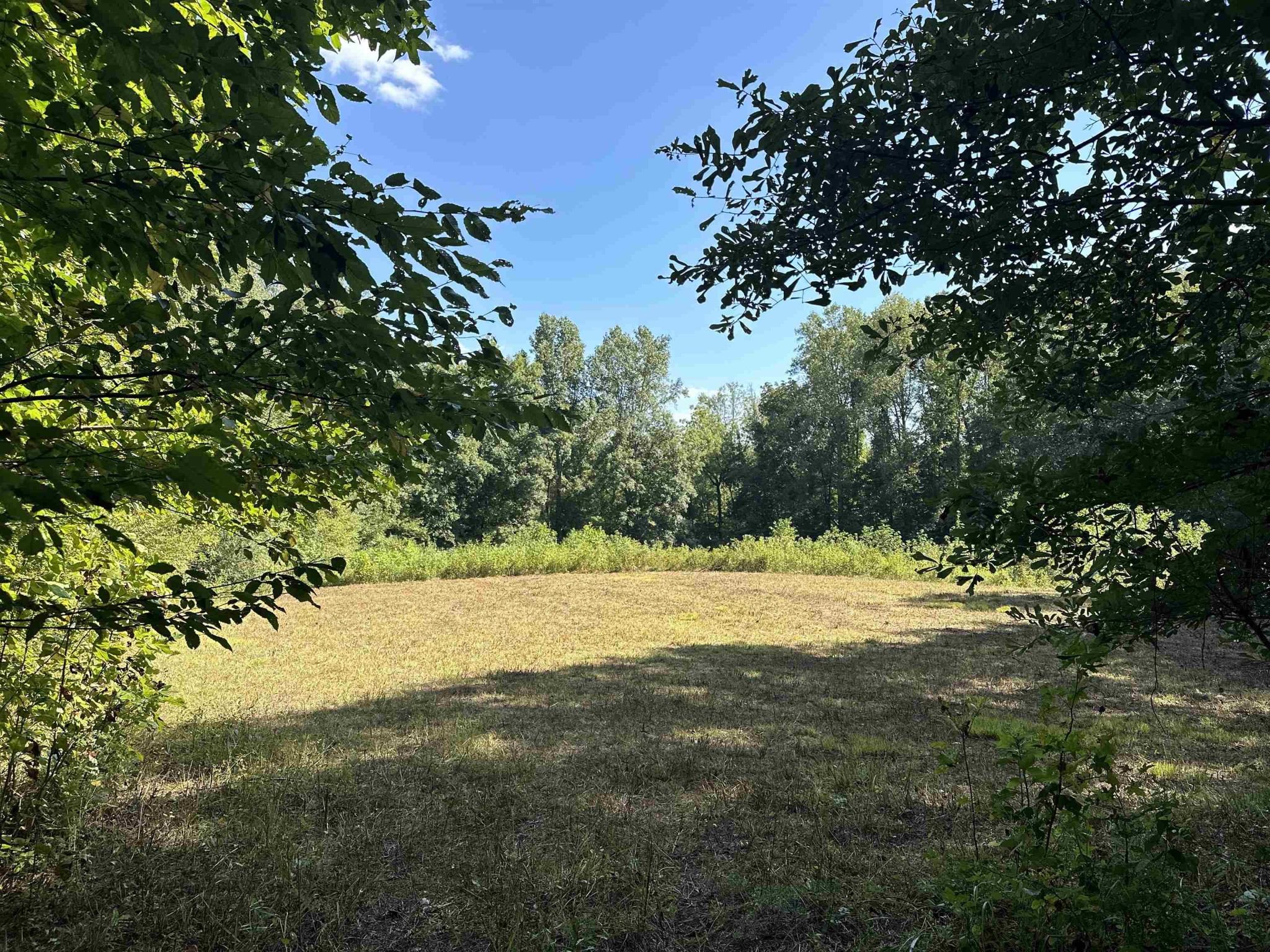 0 Middleburg Road Decaturville, TN 38329 - Photo 12 of 32 a view of an outdoor space and a yard