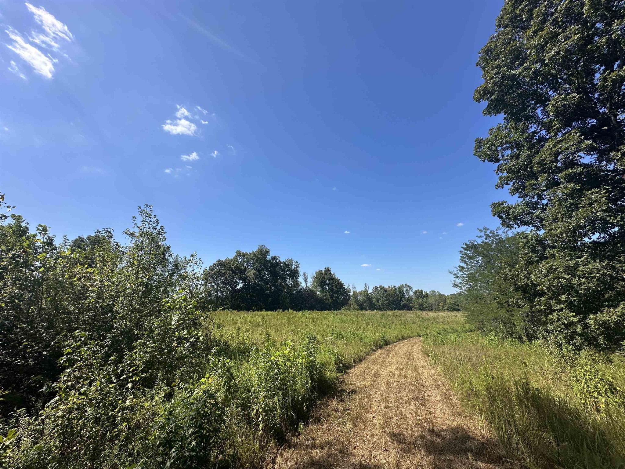 0 Middleburg Road Decaturville, TN 38329 - Photo 16 of 32 a view of lake with green space