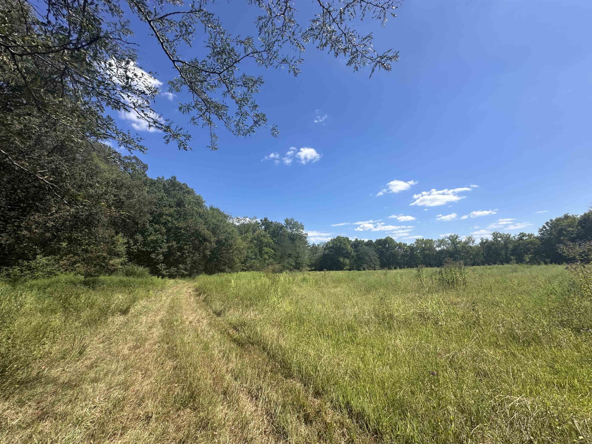0 Middleburg Road Decaturville, TN 38329 - Photo 17 of 32 a view of yard with outdoor and green space
