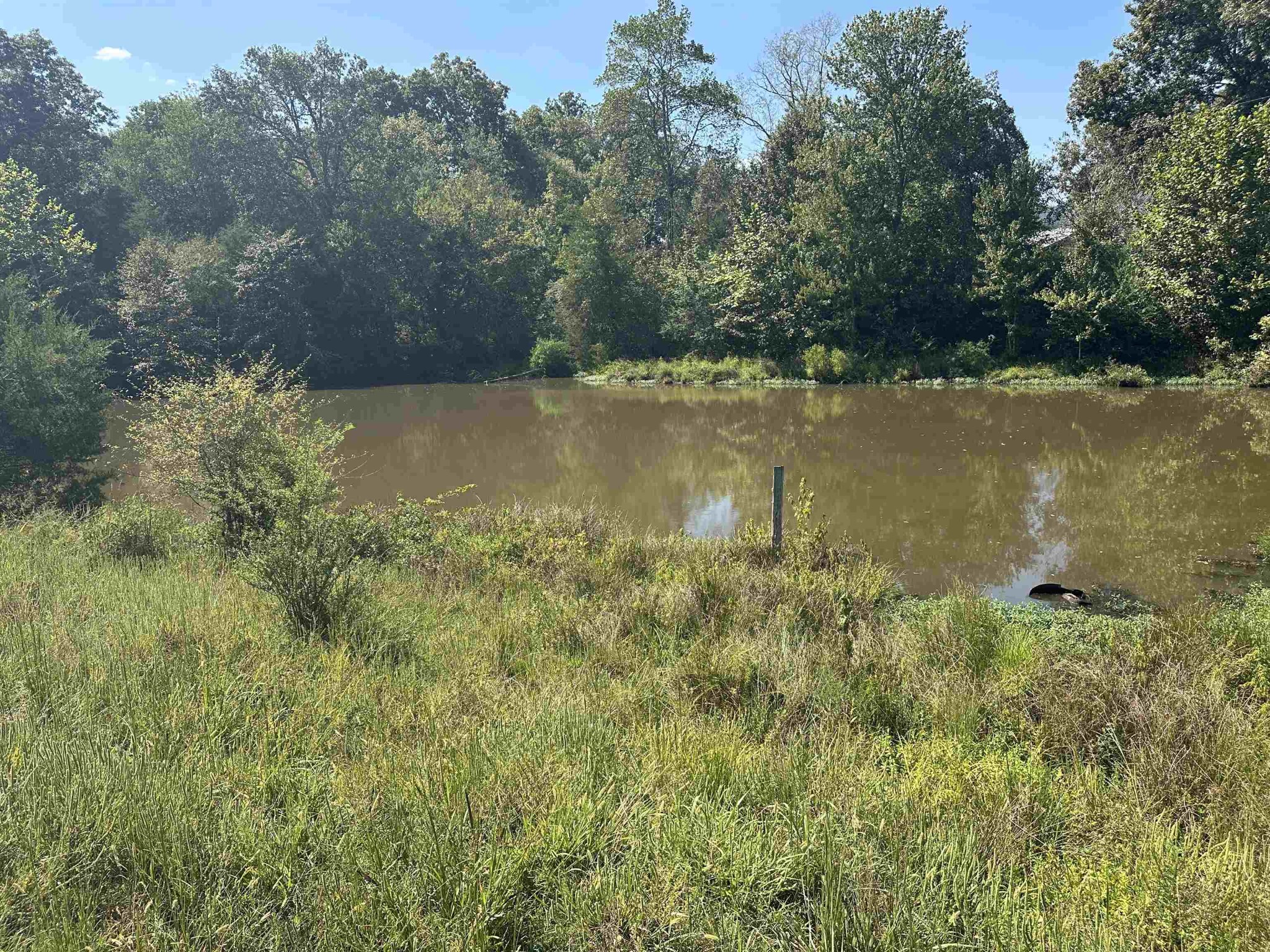 0 Middleburg Road Decaturville, TN 38329 - Photo 19 of 32 a view of lake with green space