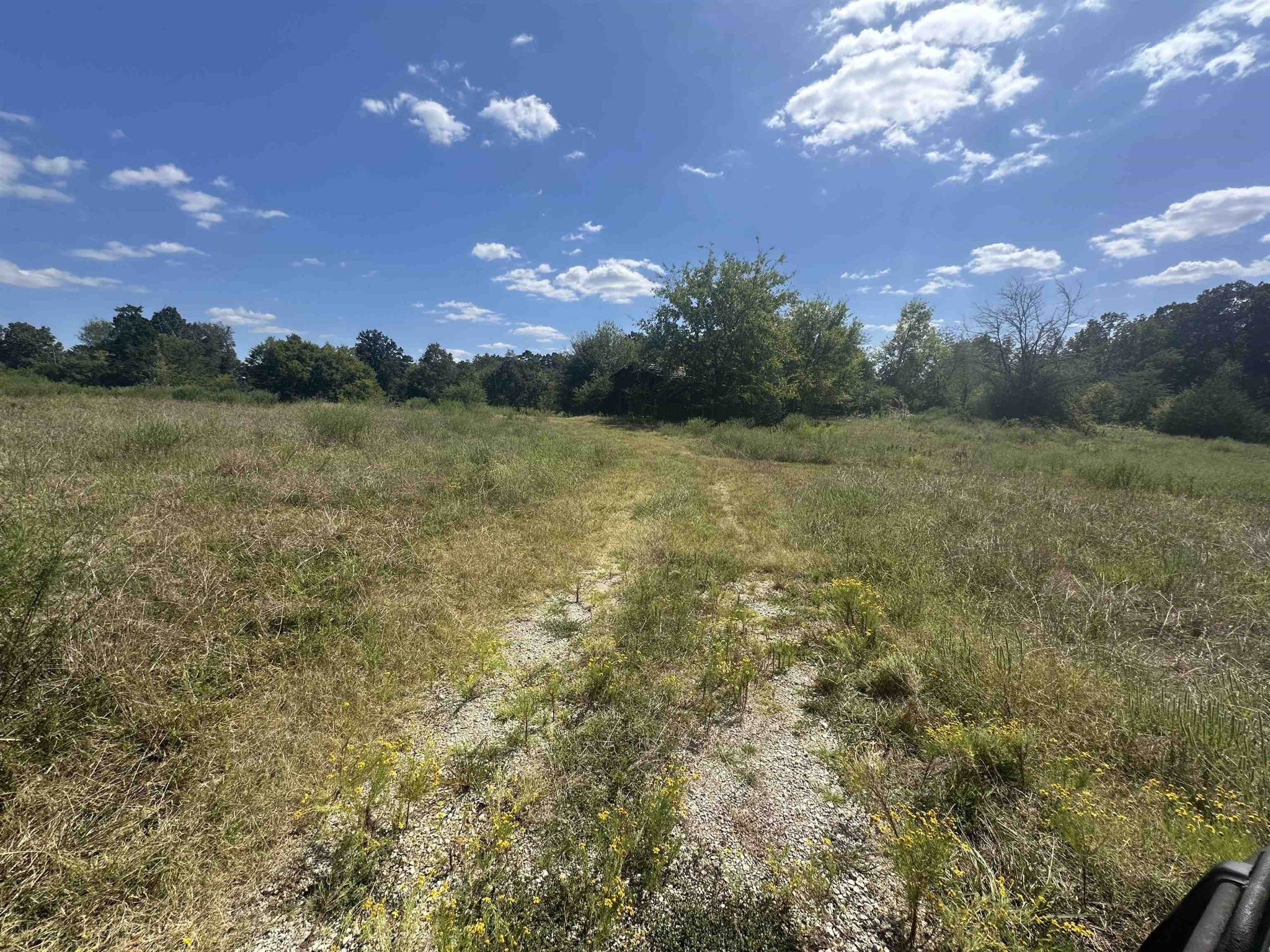 0 Middleburg Road Decaturville, TN 38329 - Photo 20 of 32 a view of a yard