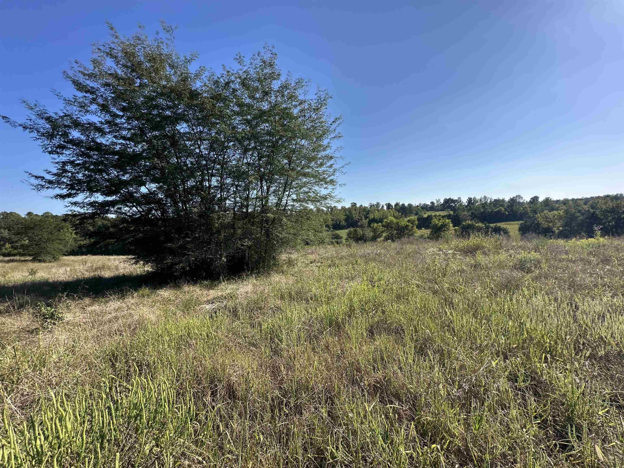 0 Middleburg Road Decaturville, TN 38329 - Photo 2 of 32 a view of a lake with houses in the back