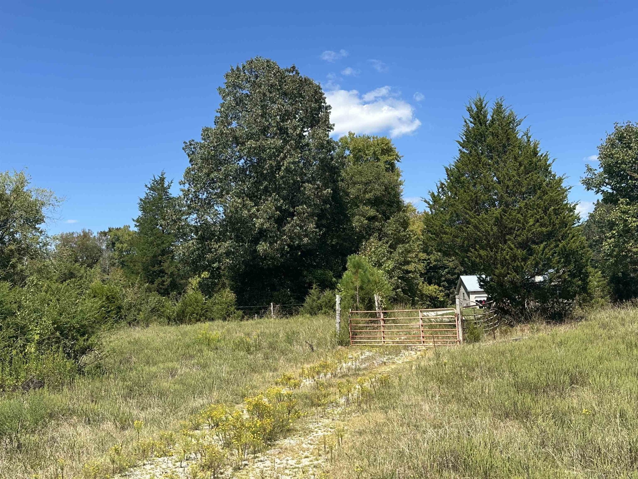 0 Middleburg Road Decaturville, TN 38329 - Photo 21 of 32 a view of outdoor space and yard