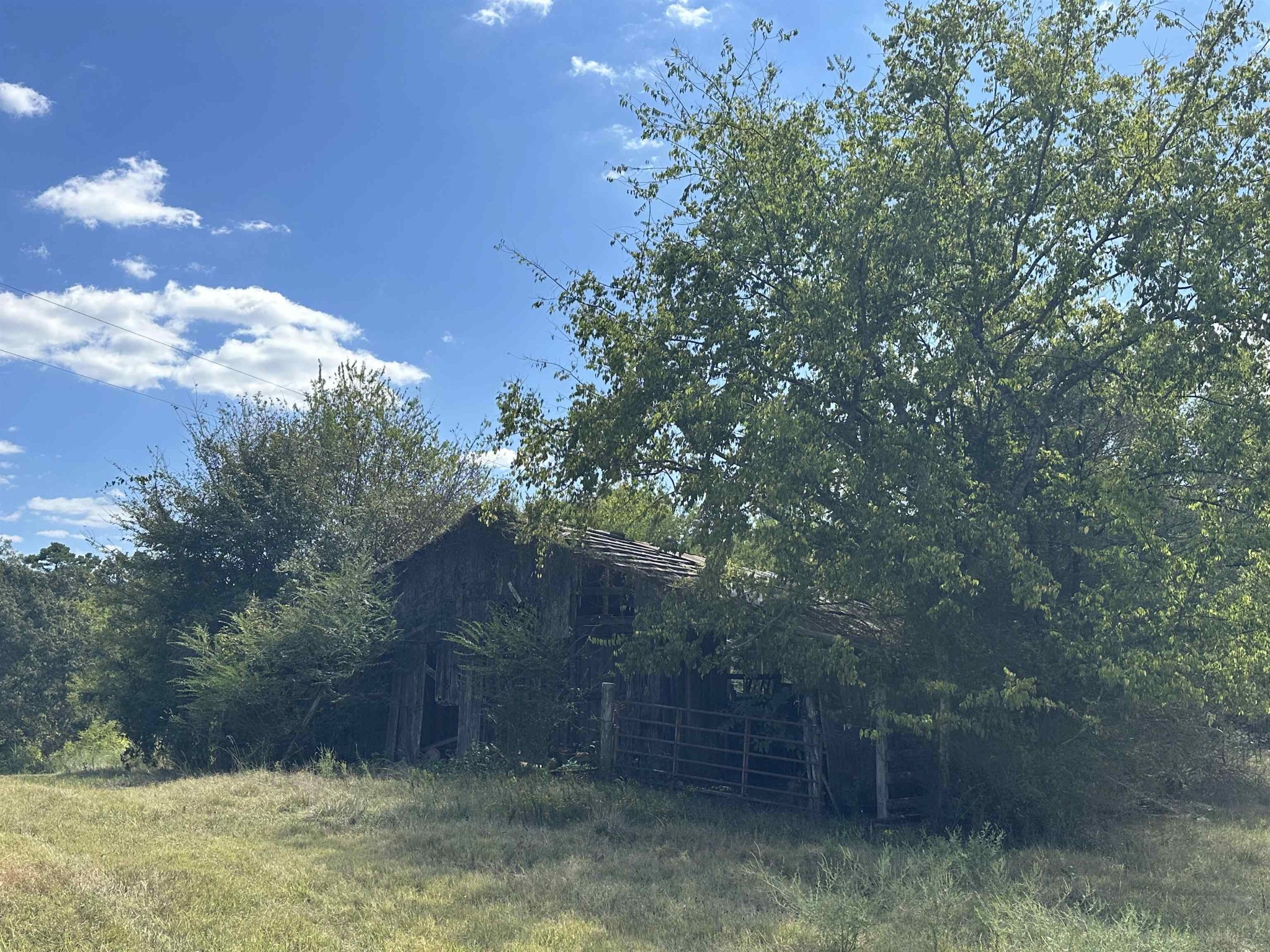 0 Middleburg Road Decaturville, TN 38329 - Photo 22 of 32