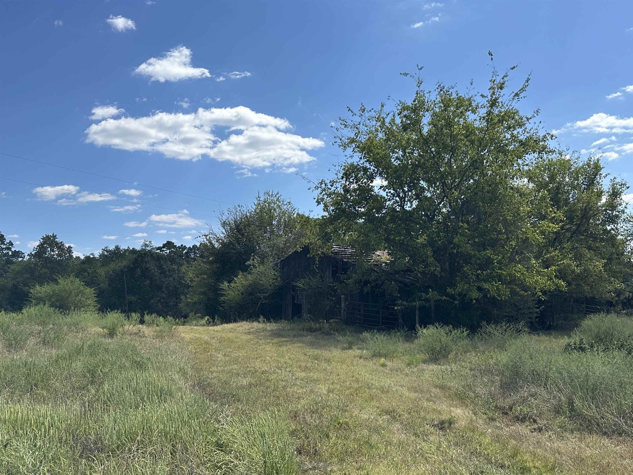 0 Middleburg Road Decaturville, TN 38329 - Photo 23 of 32 a view of a yard