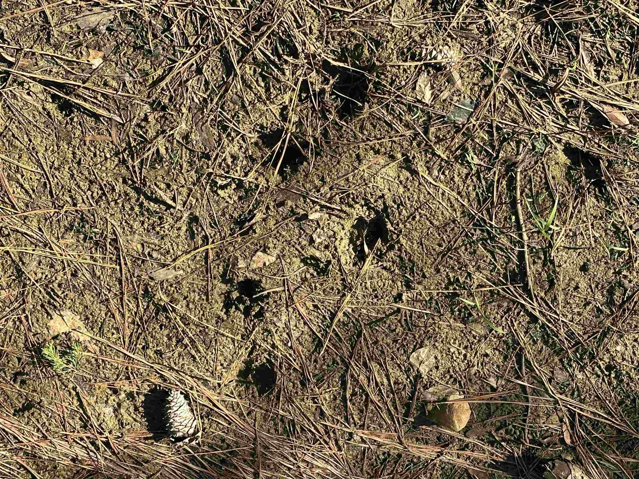 0 Middleburg Road Decaturville, TN 38329 - Photo 24 of 32