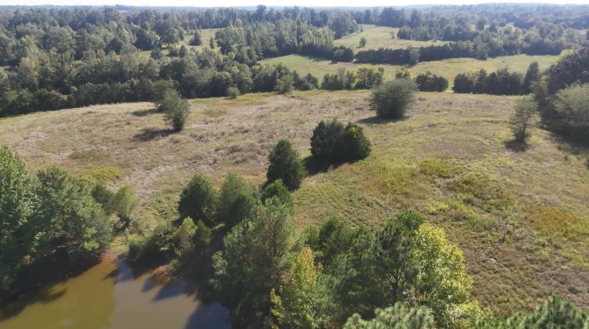 0 Middleburg Road Decaturville, TN 38329 - Photo 25 of 32 a view of a yard with a snow