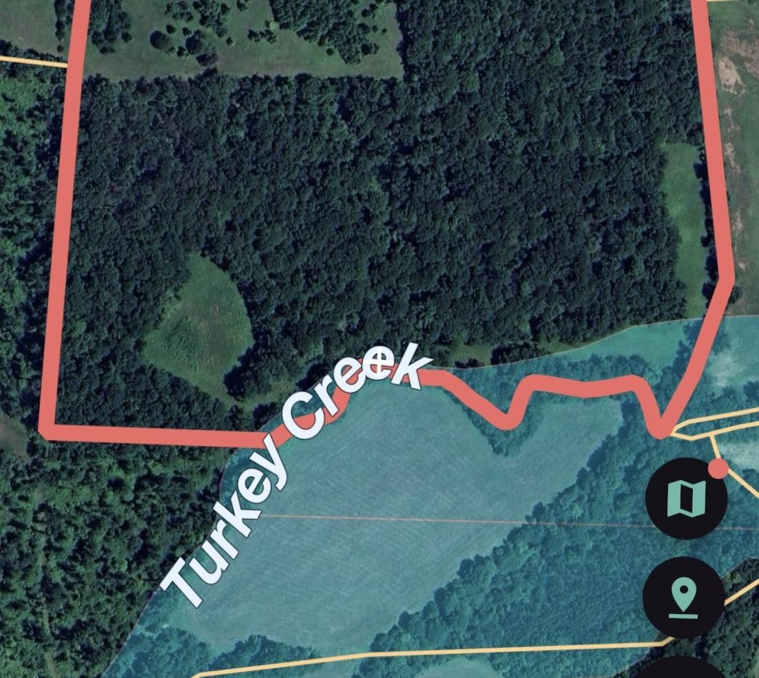 0 Middleburg Road Decaturville, TN 38329 - Photo 30 of 32