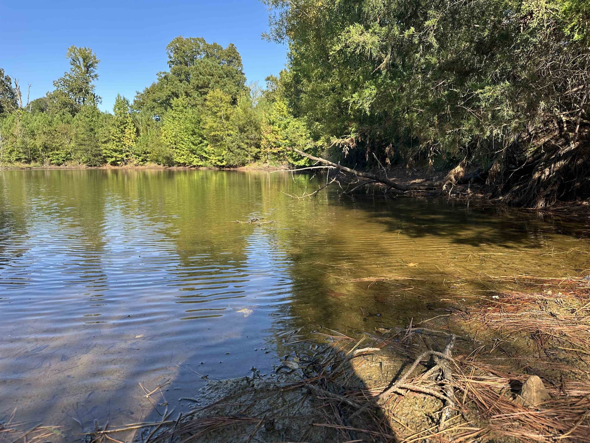 0 Middleburg Road Decaturville, TN 38329 - Photo 3 of 32 a view of a lake view