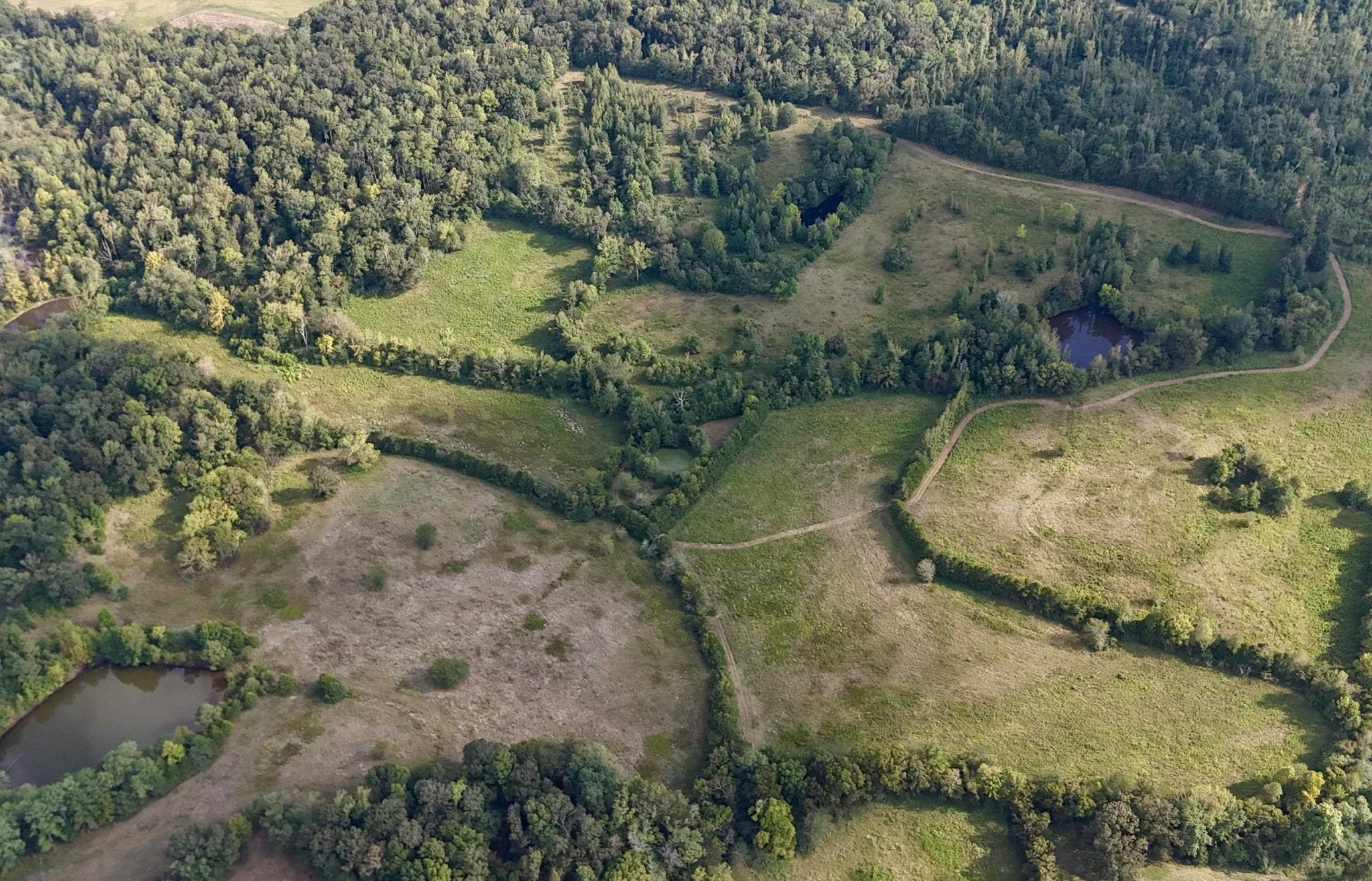 0 Middleburg Road Decaturville, TN 38329 - Photo 31 of 32 an aerial view of a residential houses with outdoor space