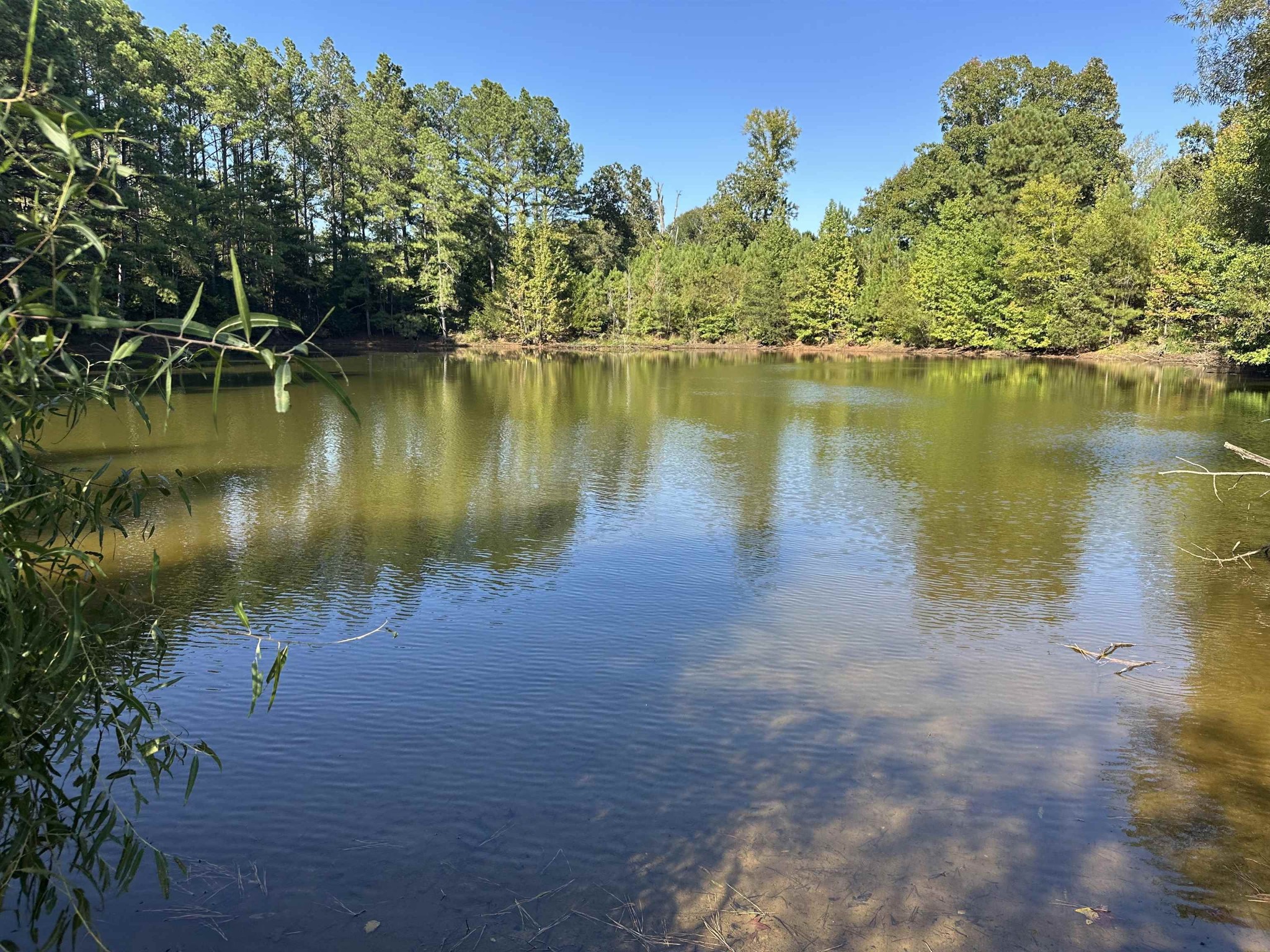 0 Middleburg Road Decaturville, TN 38329 - Photo 4 of 32 a view of a lake with houses