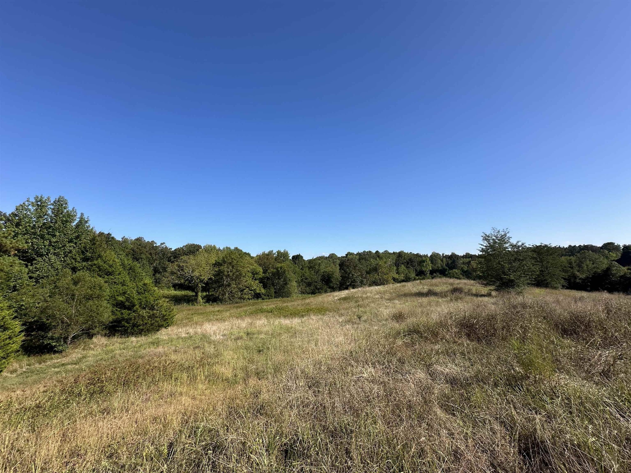 0 Middleburg Road Decaturville, TN 38329 - Photo 5 of 32 a view of a field with trees in the background
