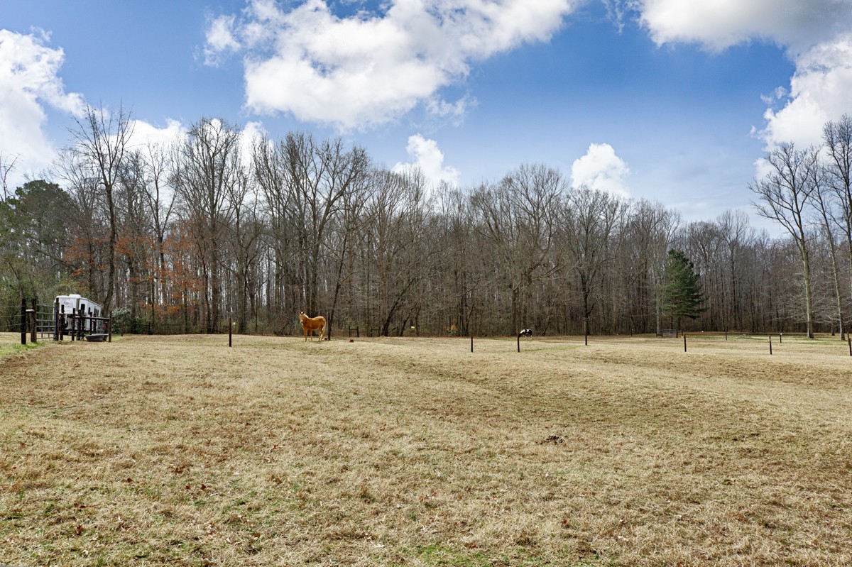 18789 Wells Road Athens, AL 35613 - Photo 34 of 40 a backyard of a house with trees