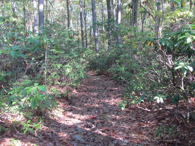 $1,133,000 | 507 West Townsend Road, Lunenburg, MA 01462