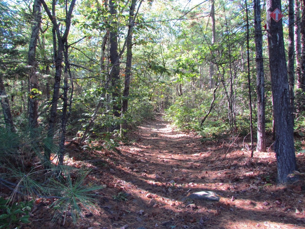 507 West Townsend Road Lunenburg, MA 01462 - Photo 8 of 15