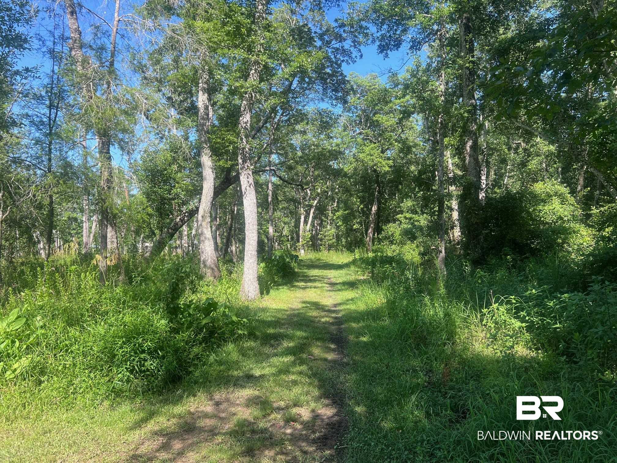9680 Clarke Ridge Road Foley, AL 36535 - Photo 43 of 51 Cleared walking path