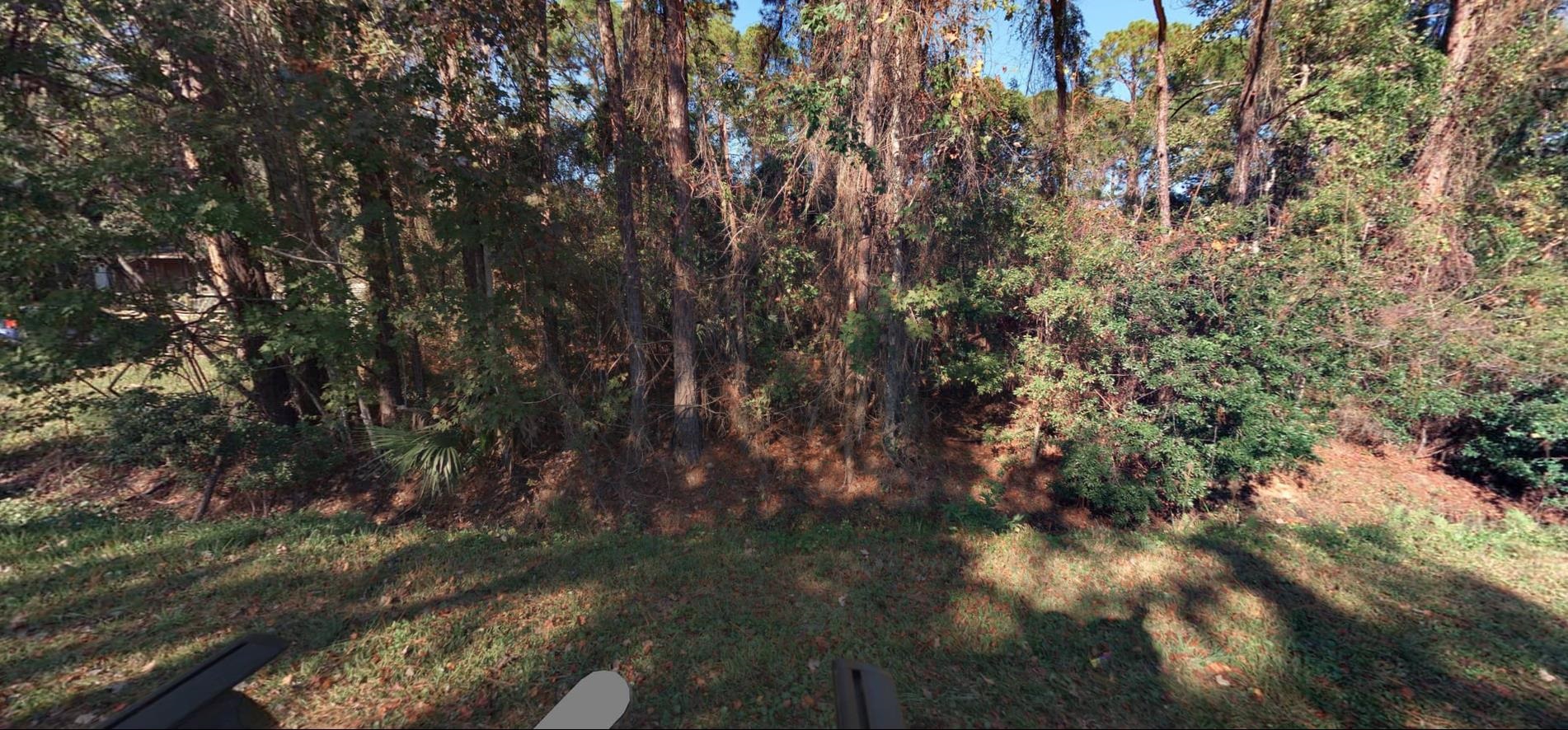 580 Tart Road St. Augustine, FL 32084 - Photo 4 of 5