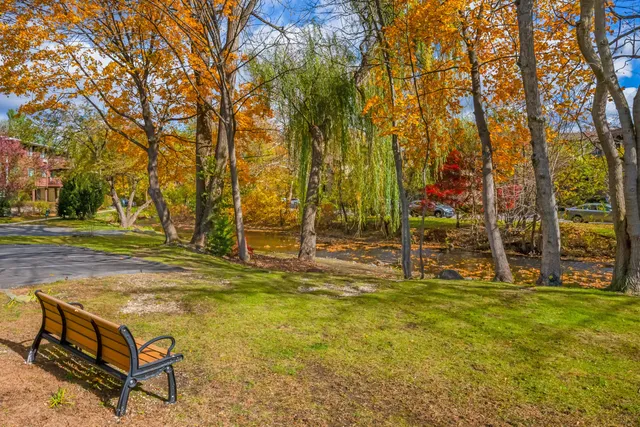 a swimming pool with trees in front of it