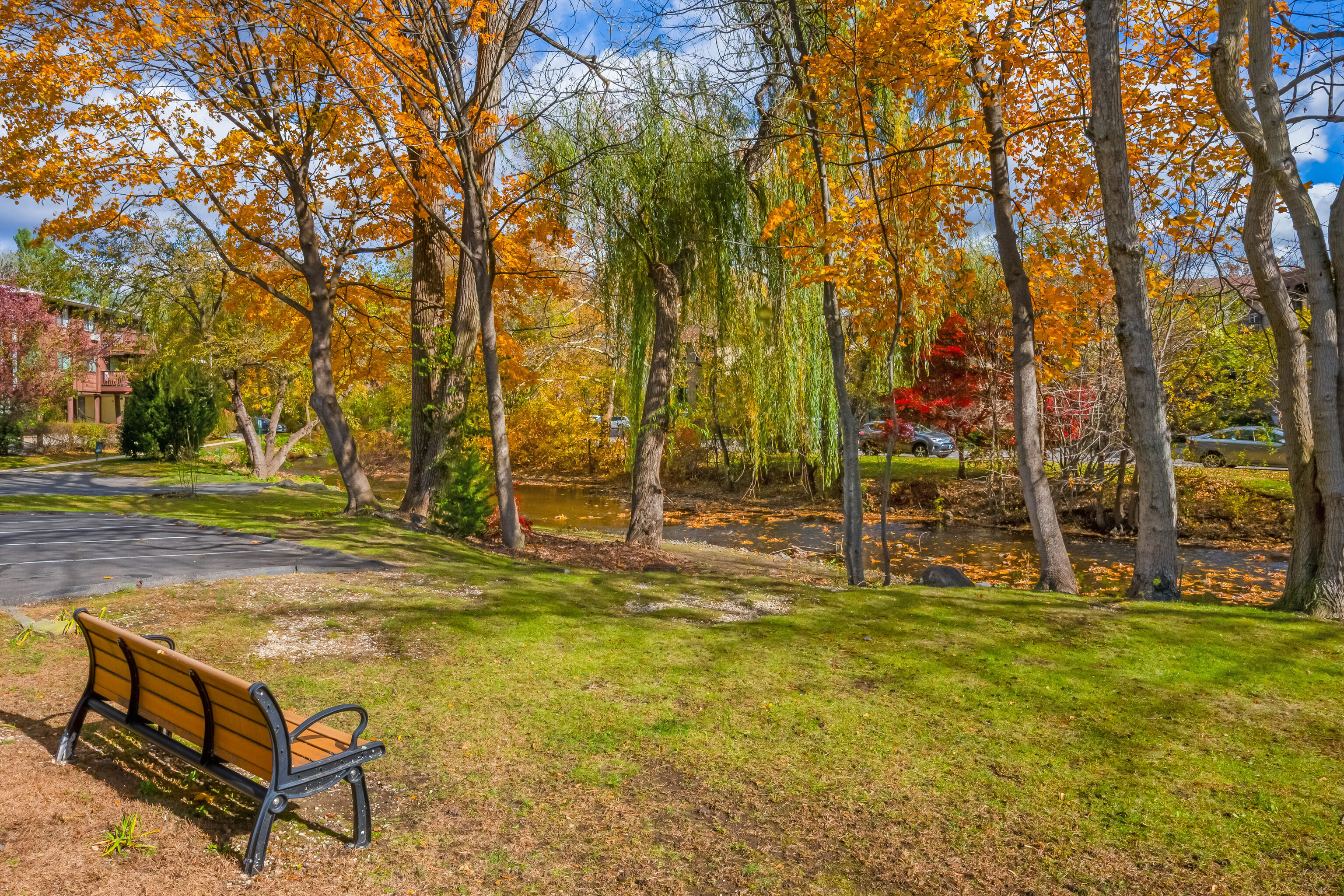 154 Cold Spring Road, Unit 71 Stamford, CT 06905 - Photo 14 of 19 a swimming pool with trees in front of it