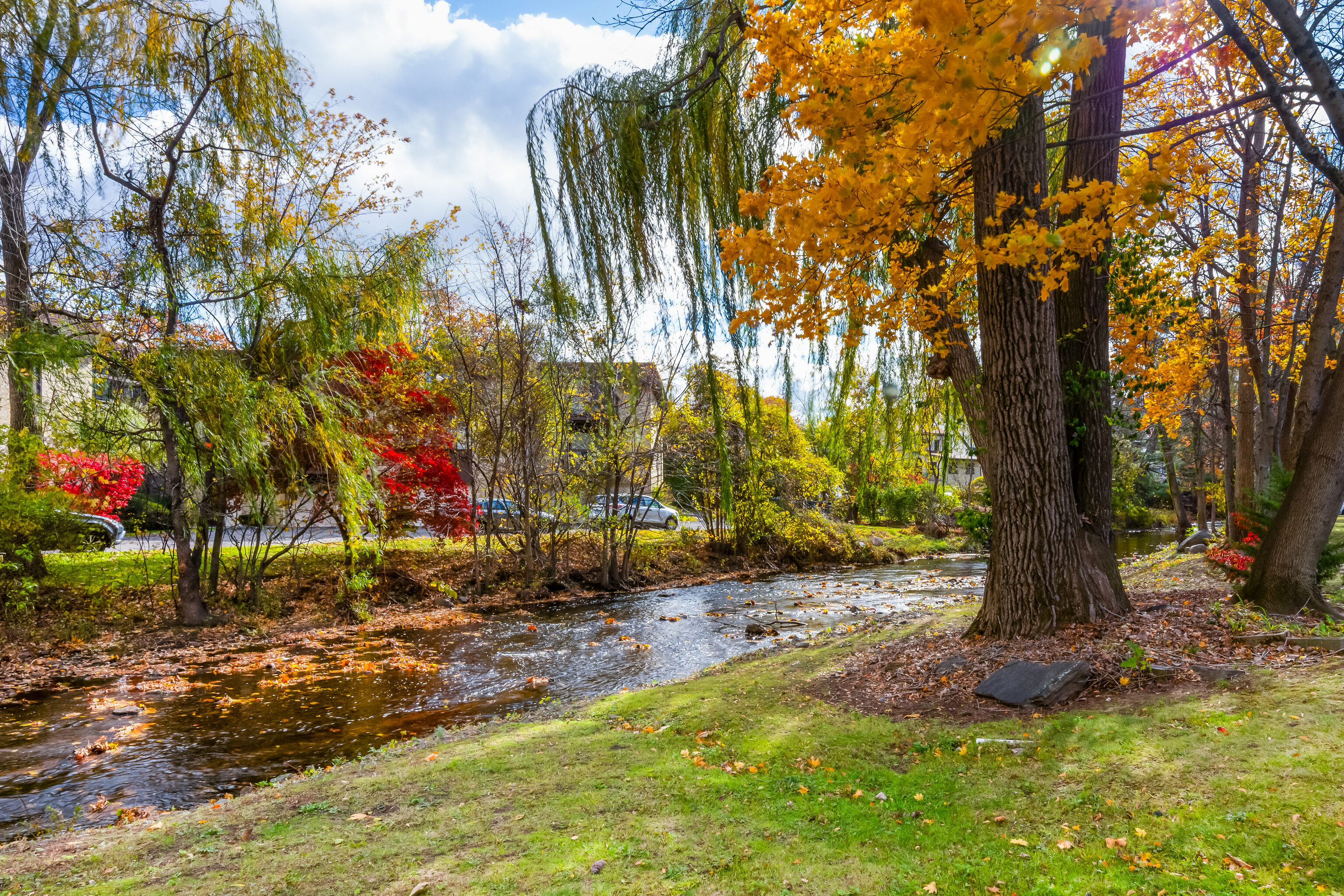 154 Cold Spring Road, Unit 71 Stamford, CT 06905 - Photo 17 of 19 a backyard of a house with lots of green space